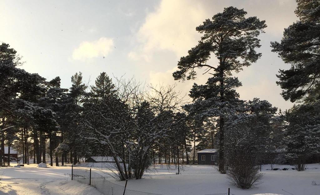 Stf Hostel Laerbro/Grannen エクステリア 写真